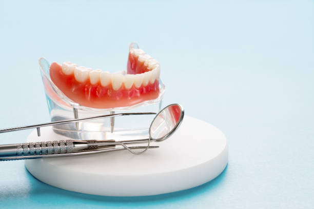 Best Dental X-Rays and Imaging  in Palmetto, FL