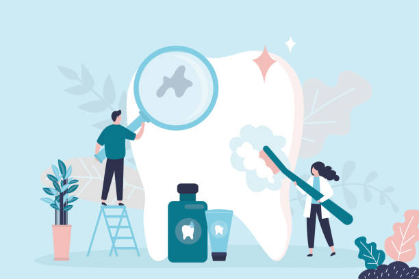 Best TMJ/TMD Treatment  in Palmetto, FL